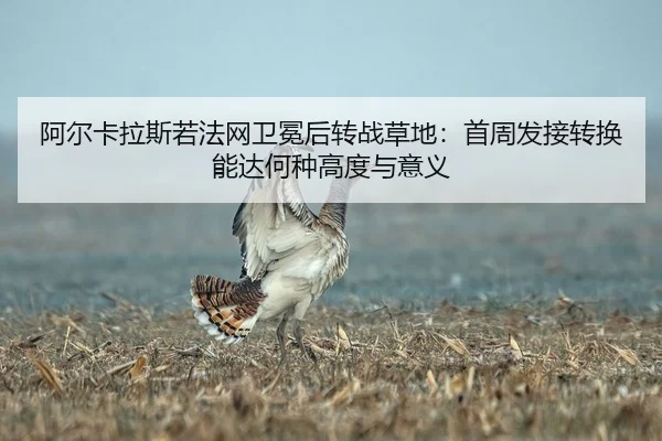 阿尔卡拉斯若法网卫冕后转战草地：首周发接转换能达何种高度与意义