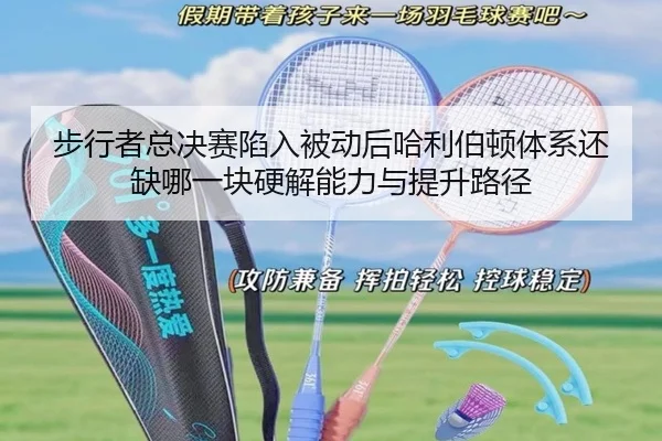 bu-xing-zhe-zong-jue-sai-xian-ru-bei-dong-hou-ha-li-bo-dun-ti-xi-hai-que-na-yi-kuai-ying-jie-neng-li-yu-ti-sheng-lu-jing-2-399.jpg